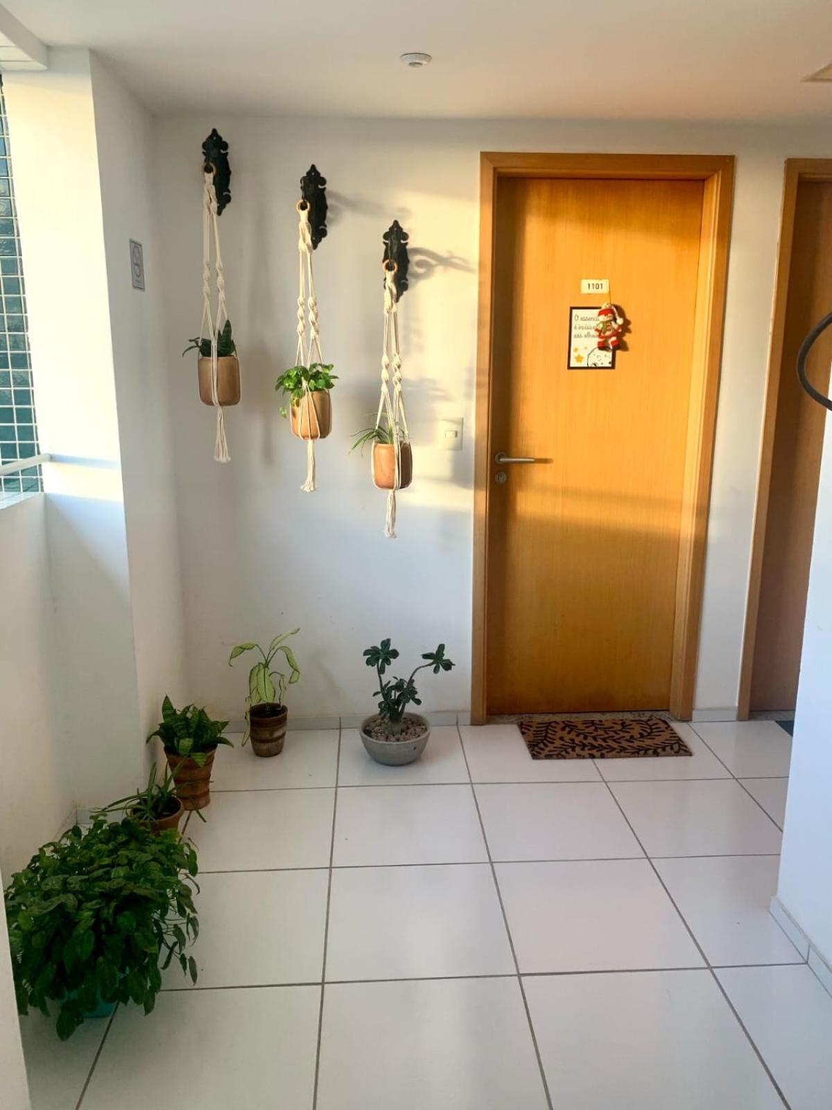 Apartamento Apto Aconchegante E Moderno