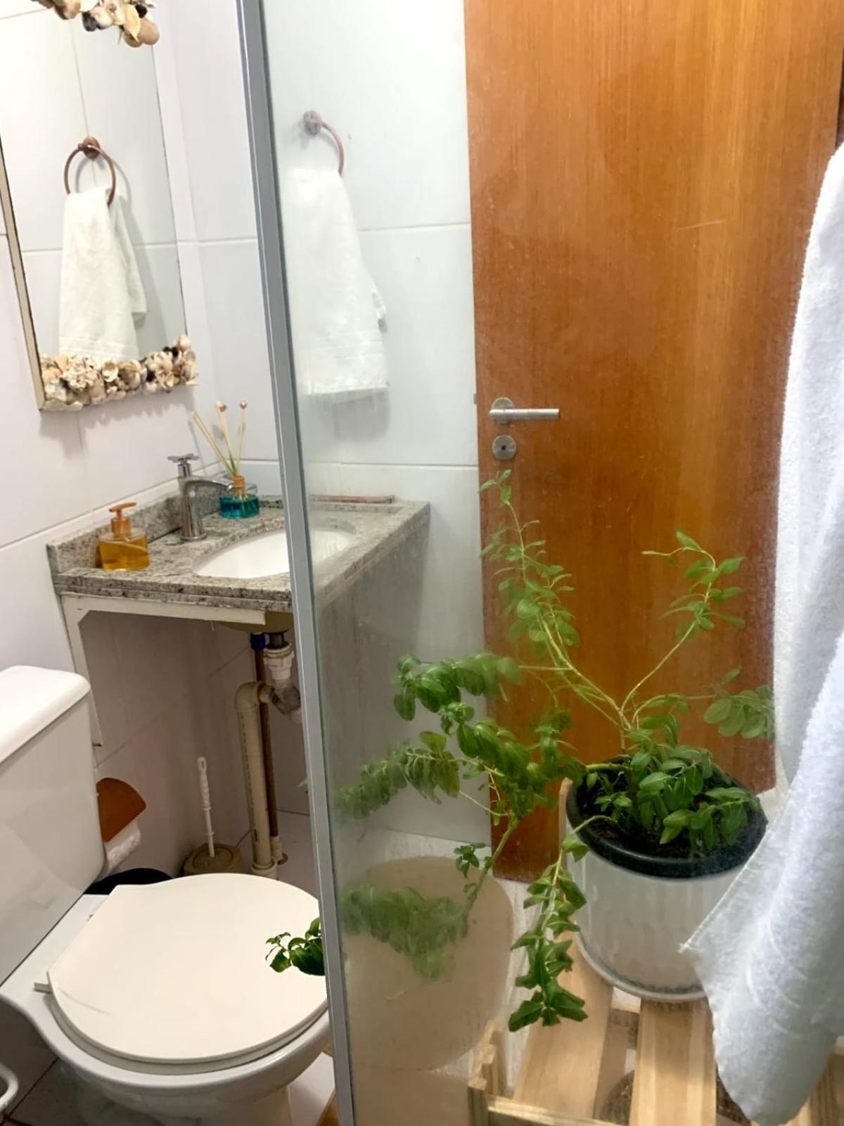 Apto Aconchegante E Moderno Recife